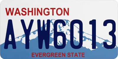 WA license plate AYW6013