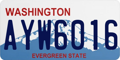 WA license plate AYW6016