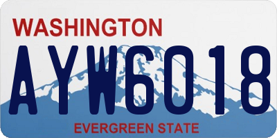 WA license plate AYW6018