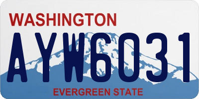 WA license plate AYW6031