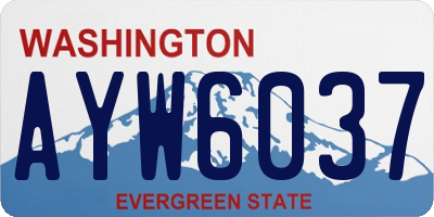 WA license plate AYW6037