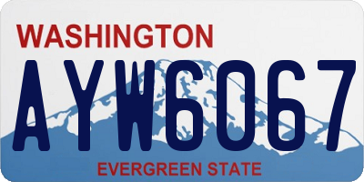 WA license plate AYW6067