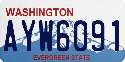 WA license plate AYW6091