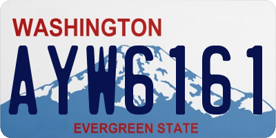 WA license plate AYW6161