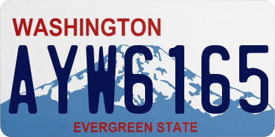 WA license plate AYW6165