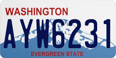 WA license plate AYW6231