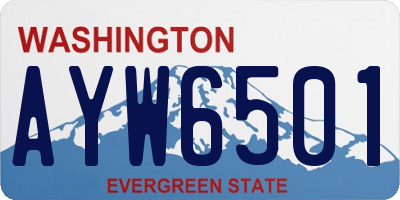 WA license plate AYW6501