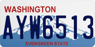 WA license plate AYW6513