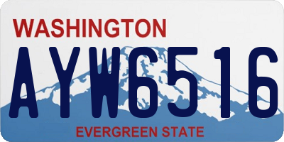 WA license plate AYW6516