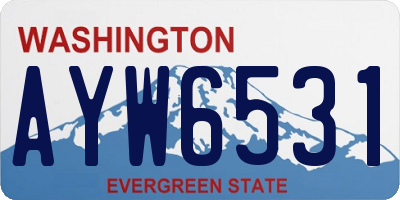 WA license plate AYW6531