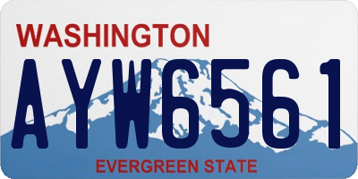 WA license plate AYW6561