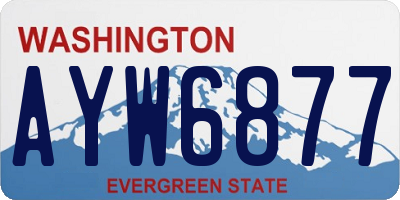 WA license plate AYW6877