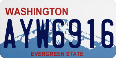 WA license plate AYW6916