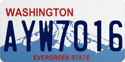 WA license plate AYW7016