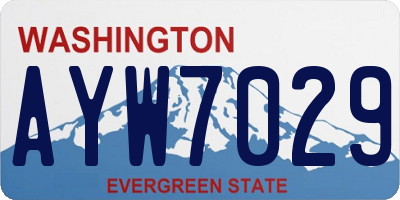 WA license plate AYW7029