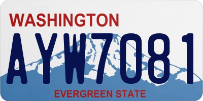 WA license plate AYW7081