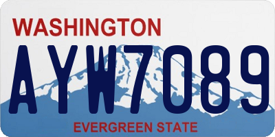 WA license plate AYW7089