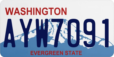 WA license plate AYW7091