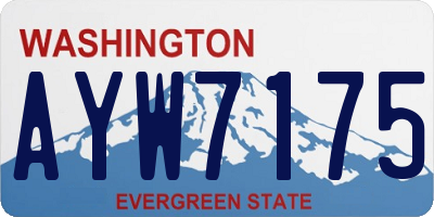 WA license plate AYW7175