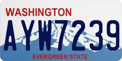 WA license plate AYW7239