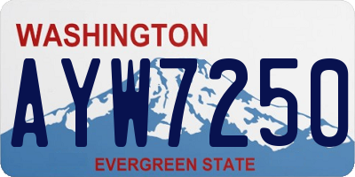 WA license plate AYW7250