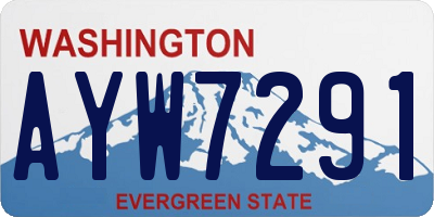 WA license plate AYW7291