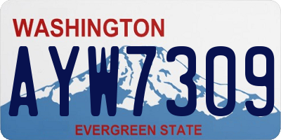 WA license plate AYW7309