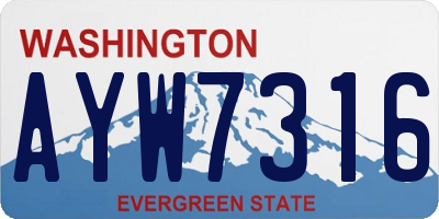 WA license plate AYW7316