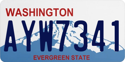 WA license plate AYW7341
