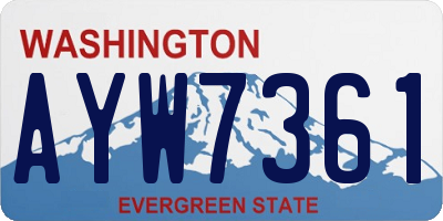 WA license plate AYW7361