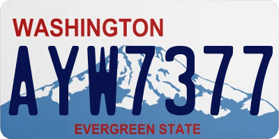 WA license plate AYW7377