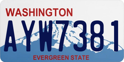 WA license plate AYW7381