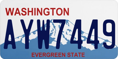 WA license plate AYW7449