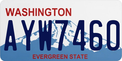 WA license plate AYW7460