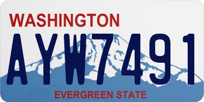 WA license plate AYW7491