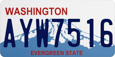 WA license plate AYW7516