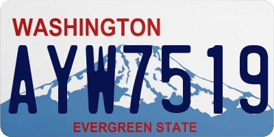 WA license plate AYW7519