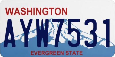 WA license plate AYW7531