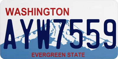 WA license plate AYW7559