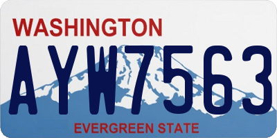 WA license plate AYW7563