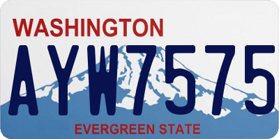 WA license plate AYW7575