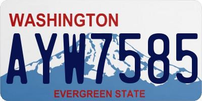 WA license plate AYW7585