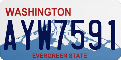 WA license plate AYW7591