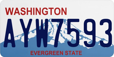 WA license plate AYW7593
