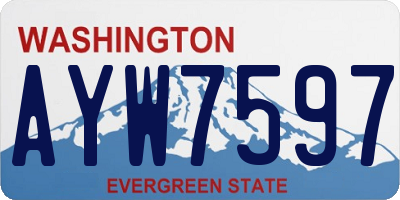 WA license plate AYW7597