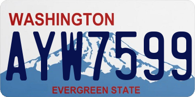 WA license plate AYW7599