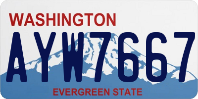 WA license plate AYW7667