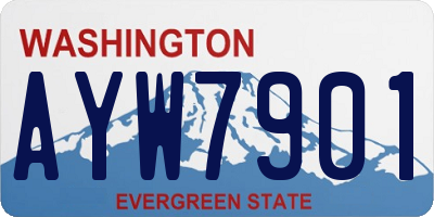 WA license plate AYW7901