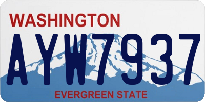 WA license plate AYW7937