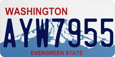 WA license plate AYW7955